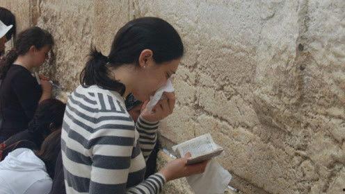 娱乐吃瓜君校长