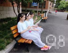 最忆是杭州花絮,花絮中的诗意时光