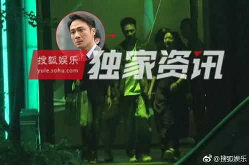今日娱乐圈新闻,明星恋情曝光，新剧热映引热议